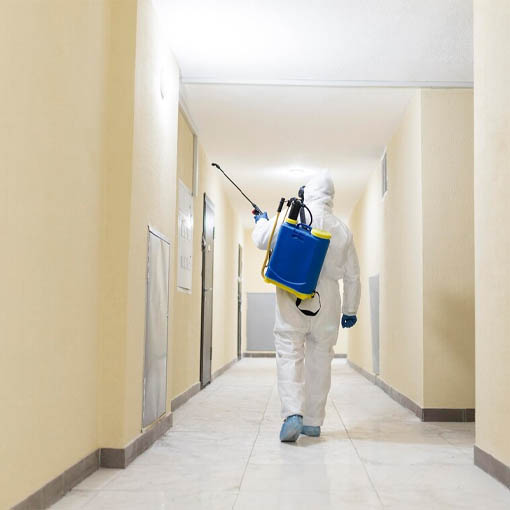 mosque-and-islamic-centre-cleaning